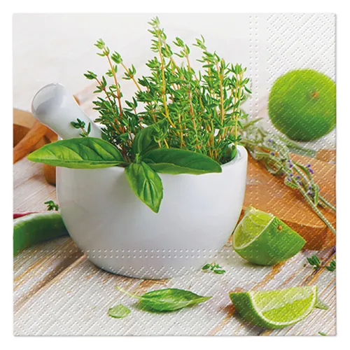 Obrúsky PAW L 33x33cm Kitchen Herbs