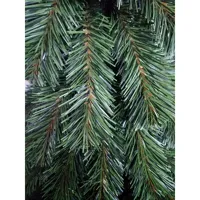 Stromček vianočný - Smrek horský 150 cm (1)