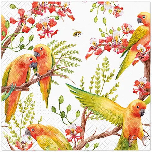 Obrúsky PAW L 33x33cm Exotic birds