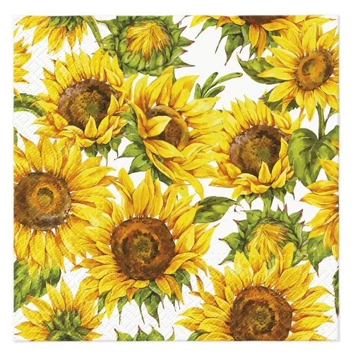 Obrúsky PAW L 33x33cm Dancing Sunflowers