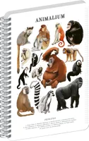 NOTIQUE Špirálový blok Animalium – Primáty, štvorčekovaný, A5