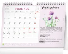 NOTIQUE Mesačný plánovací kalendár so semienkami CZ 2027, 30 x 21 cm (12)