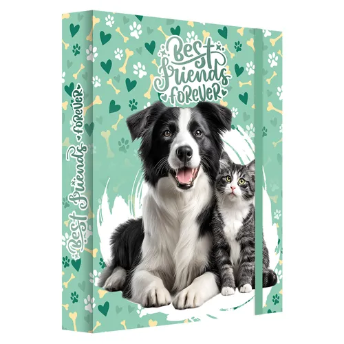Box na zošity A4 Jumbo MAX - Best Friends Forever