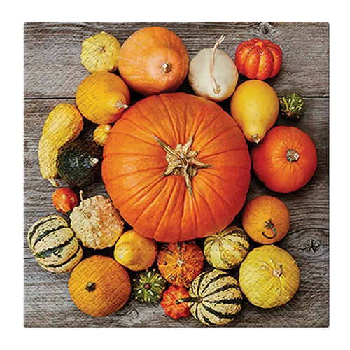 Obrúsky PAW L 33x33cm Pumpkin Composition