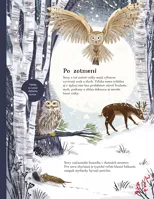 SVET SÝKORIEK, VRABCOV a iných spevavcov – Kniha samolepiek (5)