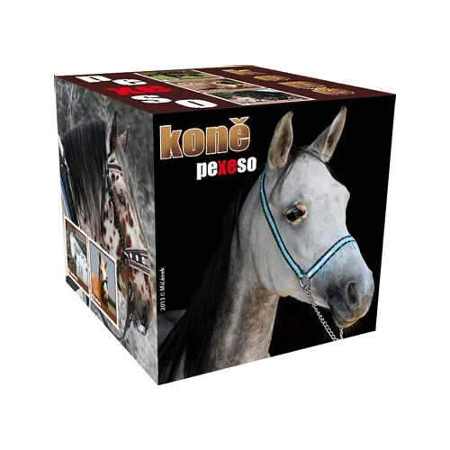 Pexeso Box Kone
