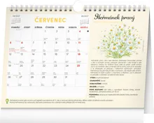 NOTIQUE Mesačný plánovací kalendár so semienkami CZ 2027, 30 x 21 cm (7)